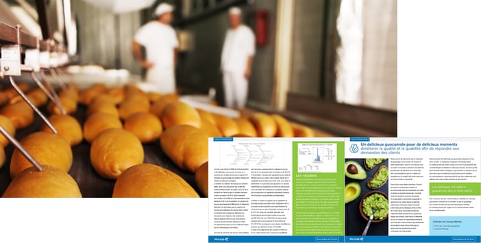 Bread factory surveillance + Ebook