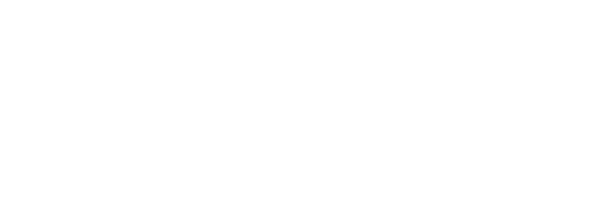 Ford-white-logo